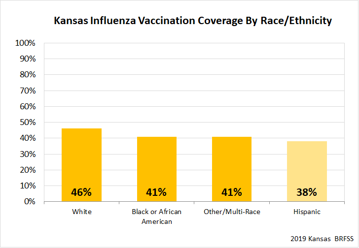 Influenza Coverage by Race and Ethinicty Graph
